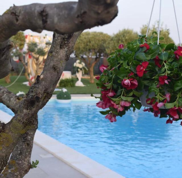 B&B Villa Antonella Piazza Armerina Zewnętrze zdjęcie